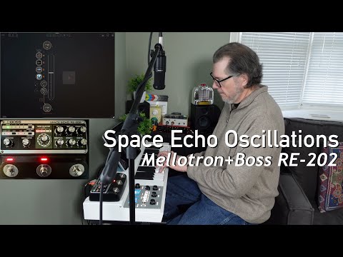 Swirling Repeat Oscillations: Mellotron and Boss RE-202 Space Echo