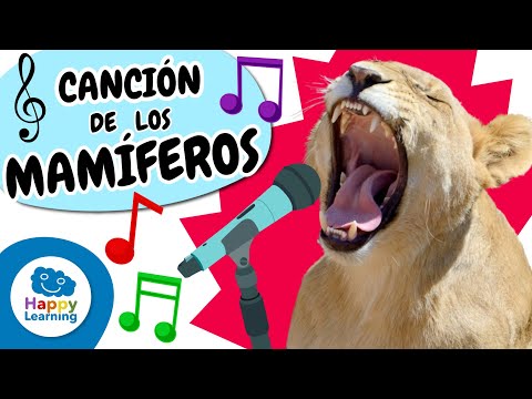 🐯🐘🎶 ¡CANCIÓN de Los Mamíferos! | Vídeos Educativos para Niños de PRIMARIA | @HappyLearningES