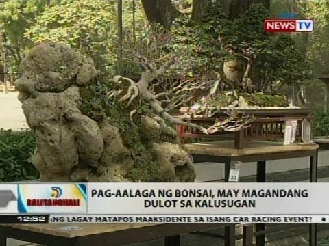 Yogurt at Timbang Pagkawala Kung paano alisin ang taba mula sa tiyan ng isang tao sa bahay