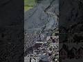 The Aberfan Tragedy: 1966 Coal Slurry Landslide