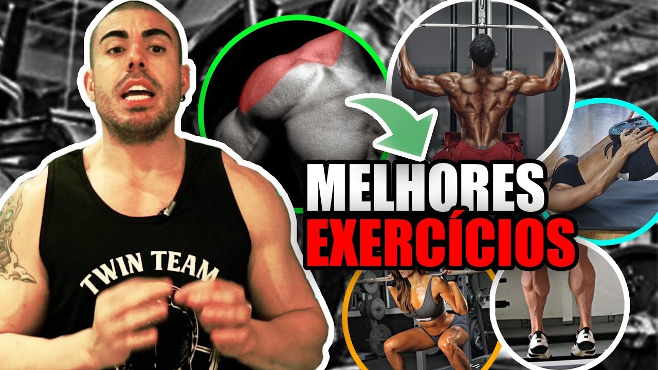 Os melhores exercícios para cada grupo muscular 👌