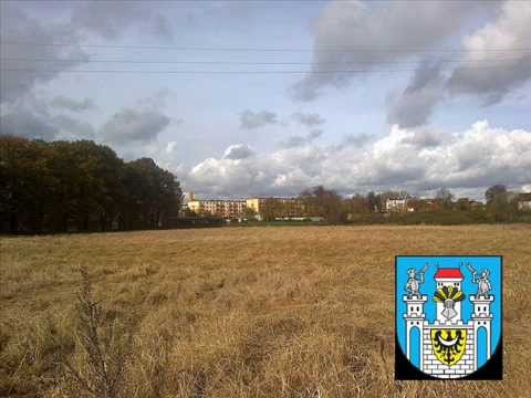 KMWW feat. Krychu - Patologia