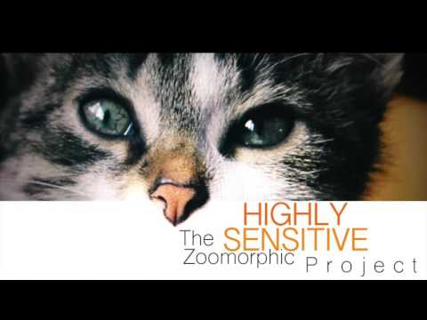 The Zoomorphic Project - HIGHLY SENSITIVE
