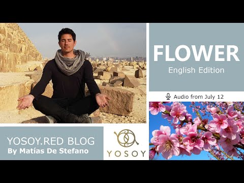 Day 343 - FLOWER - Matías De Stefano - YOSOY.RED BLOG: Throat - Emotional- Cancer, Read by Joan 7/12