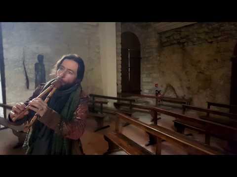 Maxence des oiseaux. flûtinerie