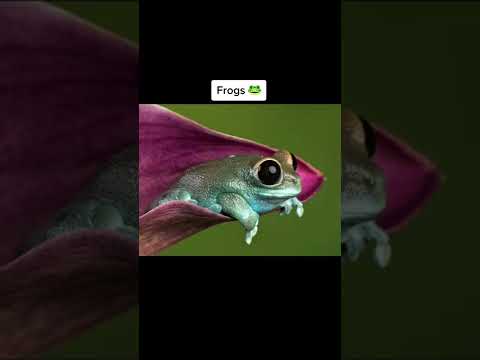 Mutated Animals From Chernobyl ☢️ #Shorts