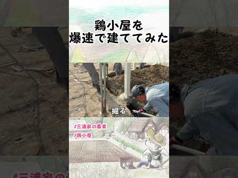 なぜ鶏にお酢を与えるのでしょうか？鶏小屋で何の役に立つの？  庭園