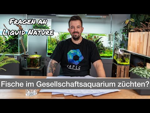 Breeding fish in a community aquarium? | Questions for Liquid Nature