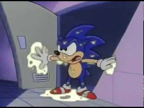 Sonic: "Don't even ask..."