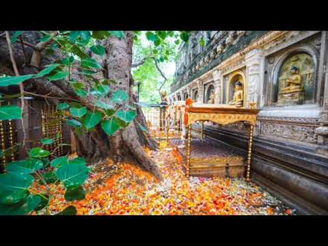 The Long Discourses: Sutta 22 - Mahāsatipaṭṭhāna Sutta "Great D. on Establishments of Mindfulness."