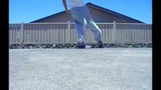 Cwalk- wild wild horses .