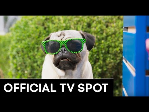 Show Dogs (TV Spot 'Unleash and Undercover)