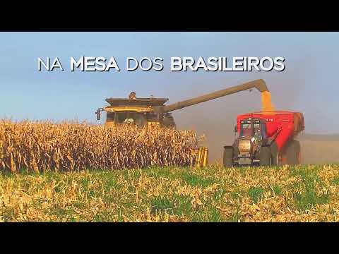 28 de Julho - Dia do Agricultor - Record TV RS