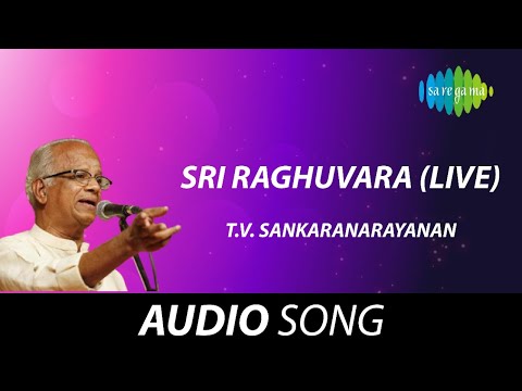 Sri Raghuvara (Live) | TV Sankaranarayan | Tyagaraja | Tamil Carnatic Music