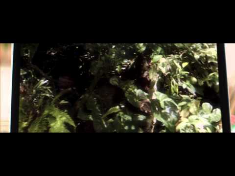 Out of the Dark (Trailer)