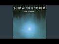 Steam Forest (feat. Walter Keiser, Pedro Haldemann, Jon Otis, Matthias Ziegler, Christoph Ziegler)