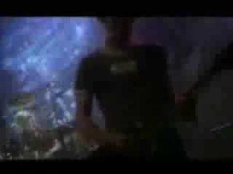 Look What You've Done For Me - Tree 63