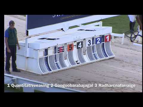 UK Difficult racehorse names Greyhound Derby dog racing at Towcester