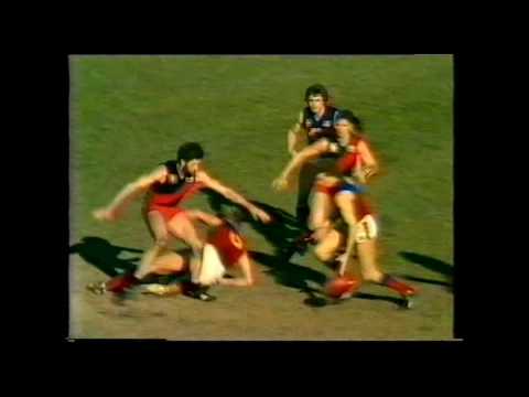 1981 Elimination Final Essendon v Fitzroy