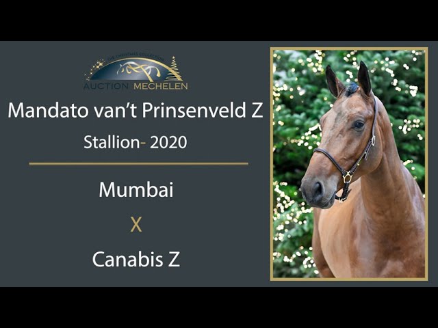 Mandato Van't Prinsenveld Z