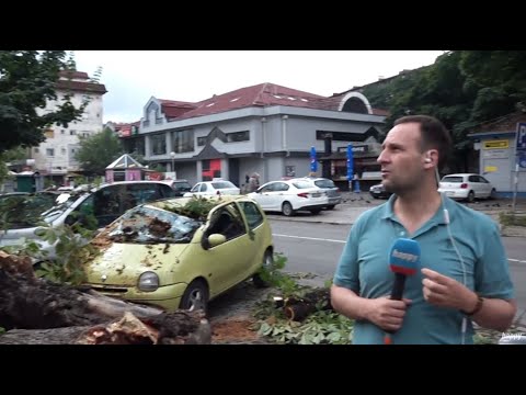Ukljucenje iz Zemuna gde je katastrofalna oluja oborila ogromno drvo koje je unistilo automobil!