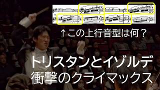 Download lagu ワーグナー楽劇《トリスタンとイゾルデ》紹介動画~第1幕への前奏曲クライマックス~ mp3 Download lagu ワーグナー楽劇《トリスタンとイゾルデ》紹介動画~第1幕への前奏曲クライマックス~ mp3