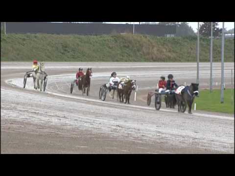 Victoria Park Wolvega 13-11-2016 MINI TROTTERS 1