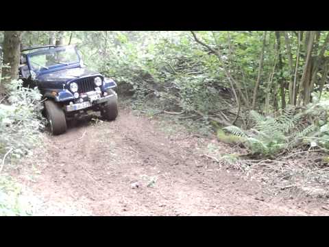 Mücke Gevenich 2011 Wald bergrauf