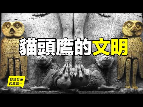 夢見 貓頭鷹