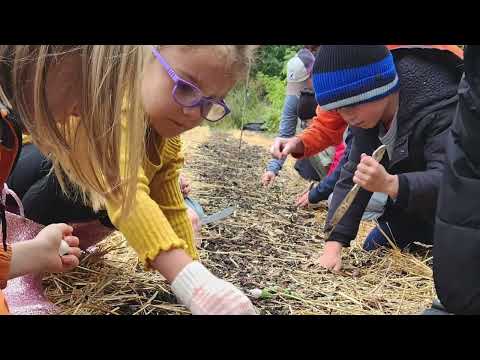KC Farm School is a 501 (c)(3) nonprofit organization inspiring individuals of all ages, ancestries and abilities on-farm, hands-on to connect to land and soil, food, community, and opportunity.

Stewarding 14.5 urban acres of land in Kansas City, Kansas, as a regenerative education and production farm, we aspire to our vision of the farm at the center of its community, generating an inspiring environment and transforming the individual and society through community-wide, multi-generational, participatory, and collaborative food projects while providing job training opportunities, healing and fun. 

Learn all about us at www.kcfarmschool.org