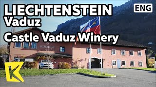 【K】Liechtenstein Travel-Vaduz[리히텐슈타인 여행-파두츠]파두츠성, 왕가의 와이너리/Vineyard/Grape/Wine/Pinot Noir