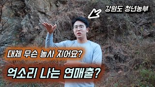 제가 짓는 농사 연매출 정말 억소리 날까요? [QnA시간]