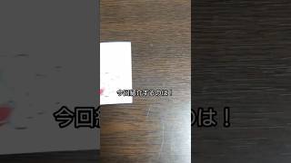「開封＆紹介動画」作の出た出ためっちゃ可愛い！癒しのポケモンパンデコキャラシールの紹介 #作 #shorts #ポケモン