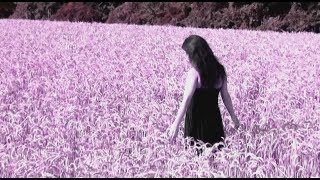 Video Projekt203 - Posledné