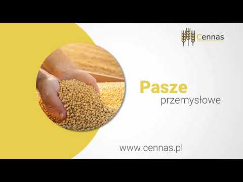 Zobacz filmy, Cennas sp. z o.o., Grajewo