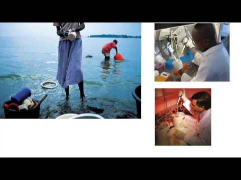 (1/3) The light of evolution: What would be lost