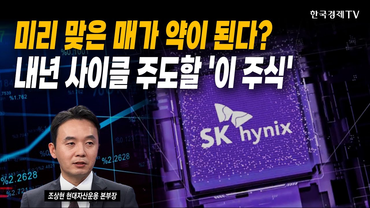 미리 맞은 매가 약이 된다? 내년 사이클 주도할 '이 주식' | 조상현 현대자산운용 본부장 | #환율 #반도체 #?