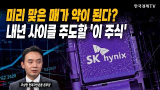 미리 맞은 매가 약이 된다? 내년 사이클 주도할 '이 주식' | 조상현 현대자산운용 본부장 | #환율 #반도…