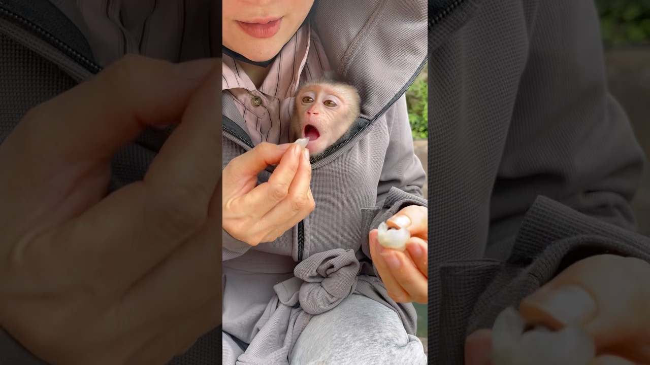 I called Susu over to eat some fruit.😍😋so cute