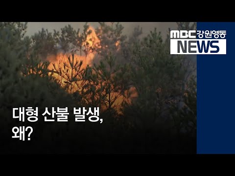 [뉴스리포트] 강원 산불, 대형화 이유는? 190406