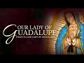 Hymn To Our Lady Of Guadalupe