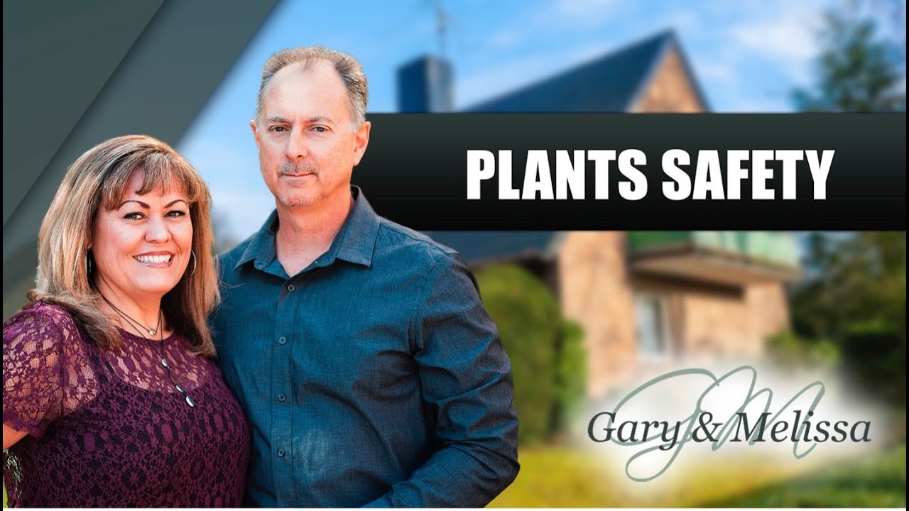 Plants Safety