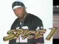 Spice1