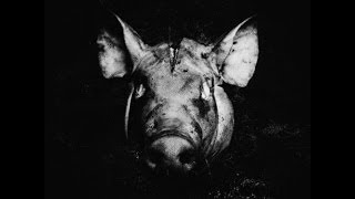 Slaughterhouse - Life In The City