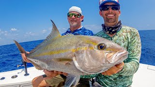 Tunas, Sailfish, Jacks and Dolphin Fishing
