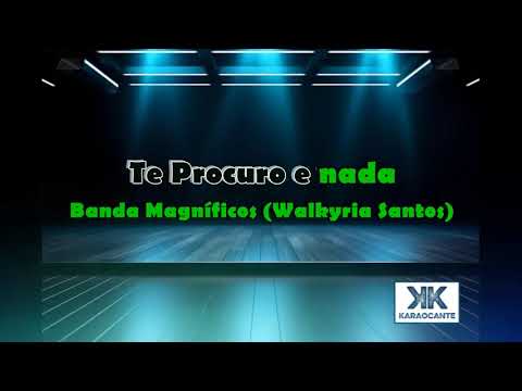 Te Procuro E Nada - Banda Magníficos