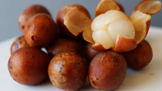 What makes Lazones or Langsat so SPECIAL? How to Eat It and Taste Test