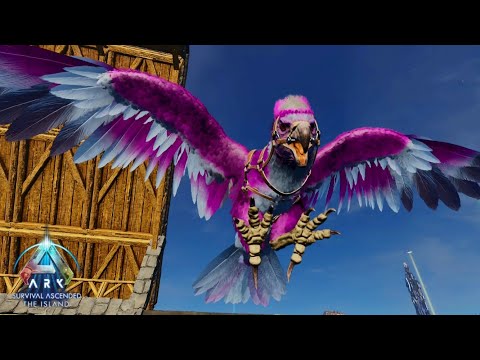 Breeding The Ultimate Pink Argent! [Ark Survival Ascended] [The Island] Episode [10]#ark #dinosaurs