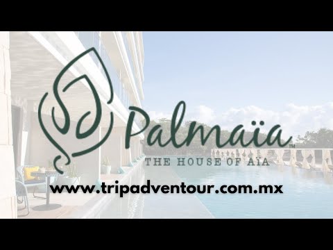 Videos del Palmaïa The House Of Aïa 5★ en Playa del Carmen, MéxicoVer MásVerPrecios20CerrarConsulta por Whatsapp 🇦🇷BookingTripadvisorExpediaAgodaTravelocityOrbitzPricelineTripSkyscannerDespegarKayakHotelesBestdayDestiniaTrivagoTurismocityAlmundoLastminuteHotwireTui