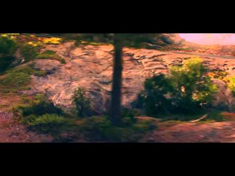 #SpotdelaSemana Honda Endless Road 15/2015